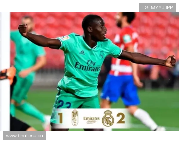 皇家社会运转中枢：祖布门迪的体系作用