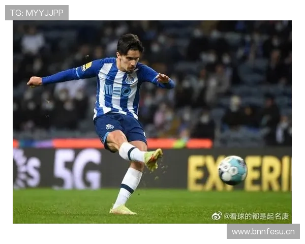 维蒂尼亚战术作用解析：被低估的组织者角色与数据印证